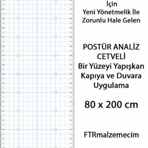 Mavi Renk Postür Analiz Cetveli